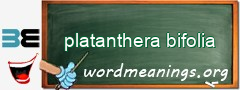 WordMeaning blackboard for platanthera bifolia